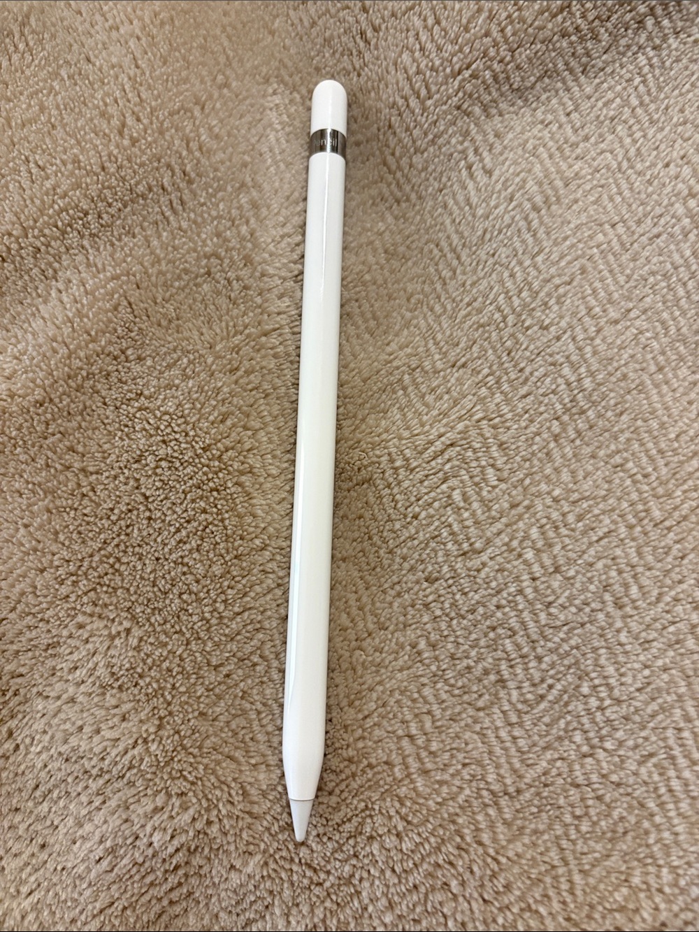 1st Generation Apple Pencil with Lighting Charging Adapter